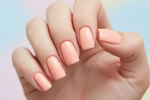 GEL POLISH  -453 Jelly Bean 8 ml